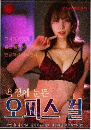 旧城回声剧集封面